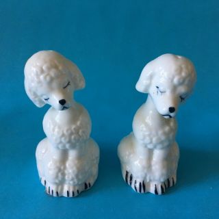 White Poodle Salt And Pepper Shakers Vintage Bone China