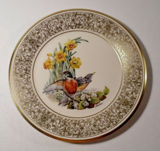 Vintage 1977 Lenox Boehm 10 - 5/8 " Bird Plate Robin