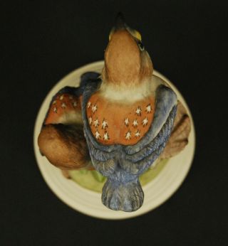 Boehm Hedgling Porcelain Figure - Western Bluebirds 494 6