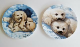 (2) By Mike Jackson Baby Seals & Polar Bear Cubs Decorative Plates 8 1/2 "