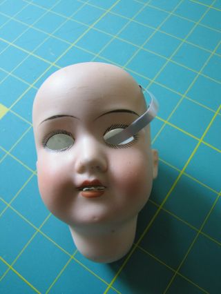 Antique German Doll Head Only - Armand Marseille Am 390 - Tlc