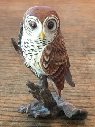 Boehm Porcelain Miniature Bird Sculpture " Barred Owl On Bronze Branch "
