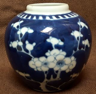 Small 19th/20th Century Chinese Blue & White Prunus Jar