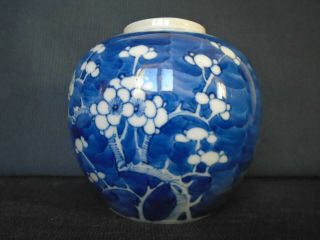 An Antique Chinese Porcelain B&w Ginger Jar,  Late 19th.  Century,  Very Small Chip.
