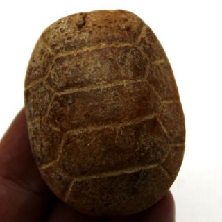 V349 Ancient China Hongshan Culture Old Jade Turtle Shell Amulet Pendant 2.  0 "