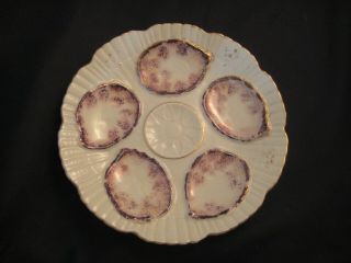 Oyster Plate Embossed 5 Segments Scalloped Sea Shell Edge Gold Trim