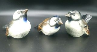 Vintage Goebel Hummel Sparrow Chickadee Bird Figurine Cv72 - 73 - 75 W Germany Brown