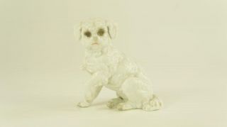 Good Antique Procelain Figurine Of White Dog,  Contonese,  Terrier