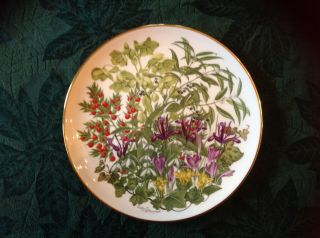 Franklin " Flowers Of The Year " Plate By Wedgwood - February