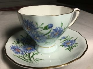 Colclough Bone China Cup And Saucer England Pale Blue/blue Strawflowers