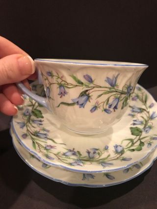 VINTAGE SHELLEY TEA CUP,  SAUCER,  & DESSERT PLATE WHITE WITH BLUE FLOWERS 2