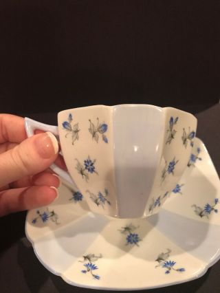 VINTAGE SHELLEY TEA CUP & SAUCER WHITE WITH BLUE FLOWERS 3