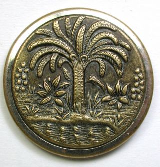 Lg Sz Antique Brass Button Palm Tree By Waters Edge Design 1 & 5/16 "