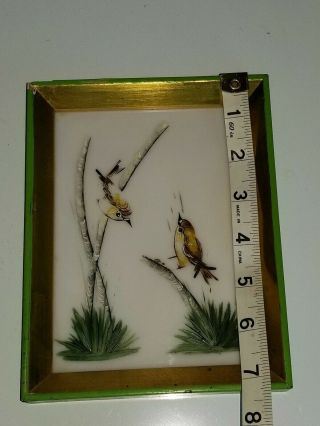 Vintage Framed Oil Painting Birds Yellow Finch Tara Productions Spain 2