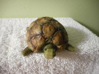 Enesco Home Grown Pineapple Turtle Figurine 4004842