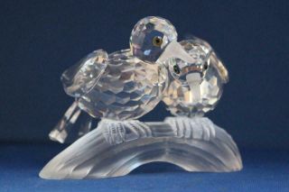1989 Annual Swarovski D01x891 Crystal Turtledoves 117895 Amour Scs Retired 1989
