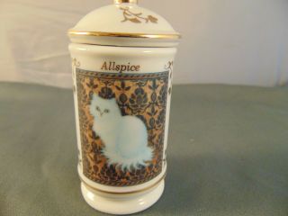 Lenox Spice Jar Cats Of Distinction Fine Porcelain 1995 Series Allspice Wh Cat