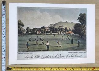 Antique Vintage Cricket Match Print: Knowles Hill,  Newton Abbot C1881: Reprint