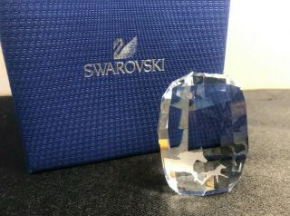 Swarovski Crystal Figurine Scs Horses Paperweight 9100 Nr 000 458 Box 5004732