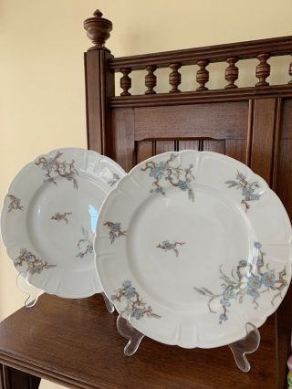 Haviland Limoges Pair [2] 9.  5” Dinner Plates Blue Floral Antique