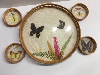 Vtg Butterfly Serving Tray And Coaster Set Round Bamboo Boho Drink Tray Bar Ware