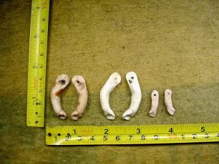 6 X Excavated Vintage Bisque Doll Arm With Hole For Wire 0.  8 - 1.  5 " Age 1890 12441
