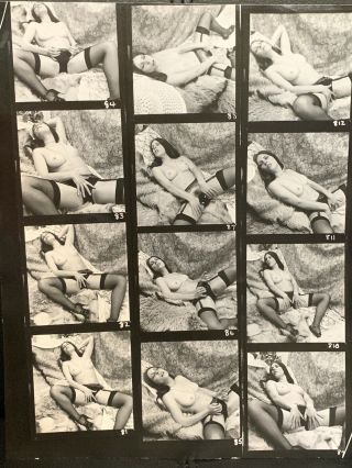 Vintage 8x10 Contact Sheet Art Posed Nude Model With High Heels And Stockings
