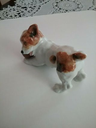 Royal Doulton Jack Russell Terrier Dog w/ Ball Figurine HN1103 3