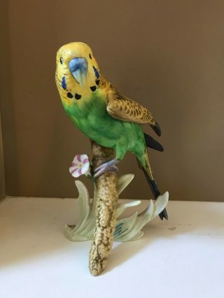 Goebel Bird Figurine Budgerigar (parakeet) Hard To Find