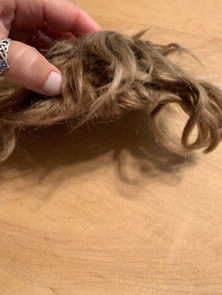 Light Brown Wig For Antique Doll W/ Western Germany Pate - TLC 3