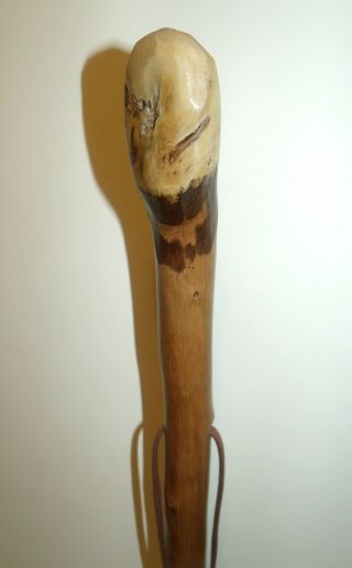 Knob Chestnut Wood Walking Stick Quality Wooden Cane Rustic Style 36 Inches Tall