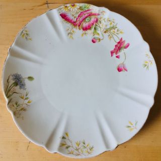 Antique C1900s Aynsley 9.  25 " Cake Sandwich Plate With Poppy Poppies Decoration