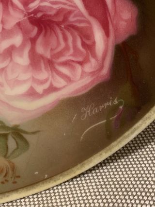 Antique Thomas Bavaria Sevres Porcelain Bourbon Rose Display Plate Hand Painted 3