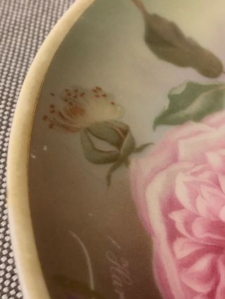 Antique Thomas Bavaria Sevres Porcelain Bourbon Rose Display Plate Hand Painted 4