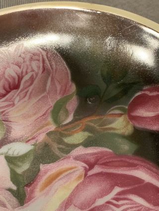 Antique Thomas Bavaria Sevres Porcelain Bourbon Rose Display Plate Hand Painted 5