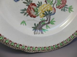 Antique Copeland Spode Dinner Plate (s) Porcelain Asian Bird Pink Blue Flowers 2