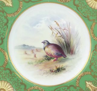 Antique Wedgwood Porcelain - Hand Painted Game Bird Plate - Artist Signed 2