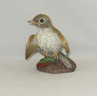 Boehm Porcelain Bird Sculpture " Fledgling Wood Thrush " 400 - 76