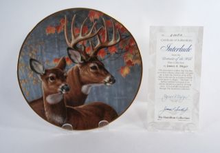 Hamilton Decorative Collectible Plate - Interlude - Deer Scene W /coa & Foam Box