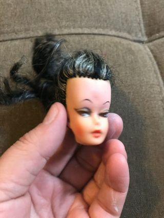 Vintage 1960s Barbie Clone Doll Head Reliable Eegee Eg Black And White Hair