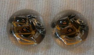 Two Small Unmounted Antique Essex Crystals With Double Horses Heads