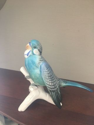 Karl Ens Volksted Fine Porcelain Budgie Parrot Figurine