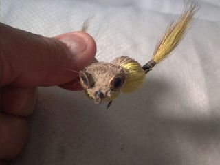 Vintage old fly fishing lure Messinger Company Frog 4
