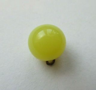 Splendid Antique Vtg Vibrant Canary Yellow Ball Charmstring Button 7/16 " (j)