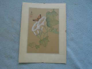 Vintage Signed Chinese Painting On Silk Flowers & Butterfly Red Seal Mark