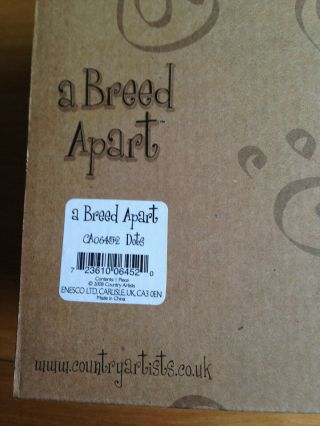 A Breed Apart Dog - Dots - Boxed 7