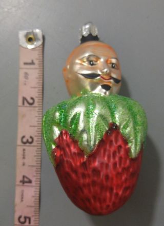 Christopher Radko Blown Glass Ornament French Strawberry