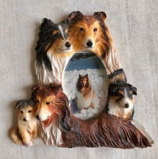 9 X 8 - 1/2 Collie - Sheltie Picture 3 - D Resin Frame,  5 Collie,  3 X 4 - 1/2 Photo