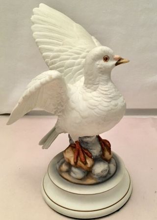 Andrea By Sadek Bird Figurine White Dove Bisque Porcelain Vintage