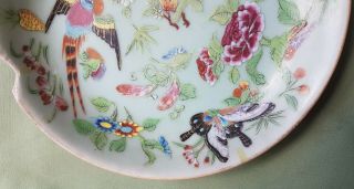 Antique Chinese Famille - Verte Pottery Plate,  Birds and Butterfly 2